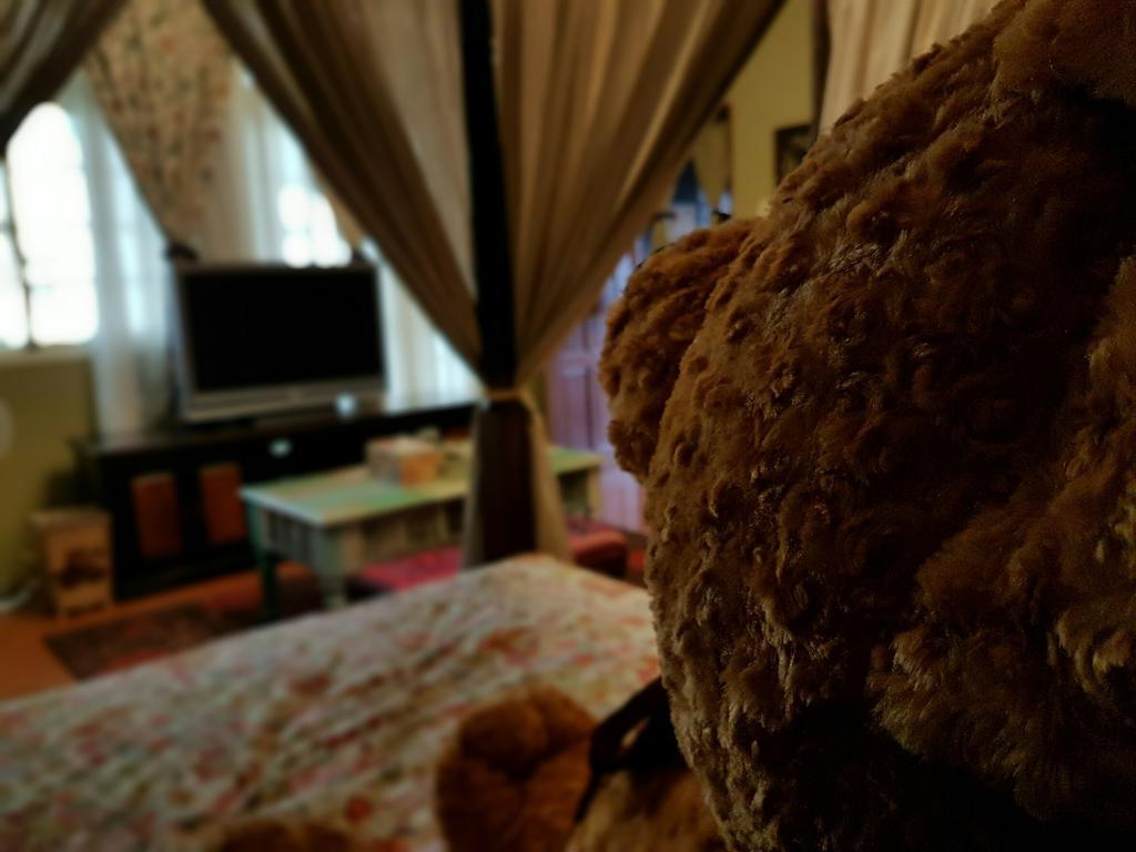 Bearbear Homestay Hualien Buitenkant foto