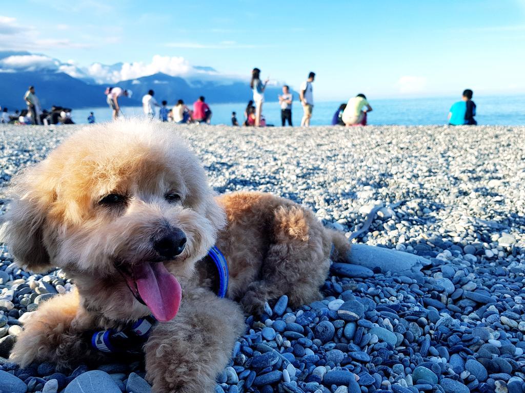 Bearbear Homestay Hualien Buitenkant foto