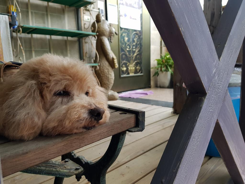 Bearbear Homestay Hualien Buitenkant foto
