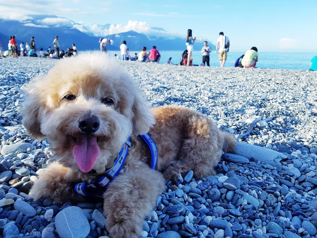 Bearbear Homestay Hualien Buitenkant foto